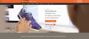 Magento Webseite